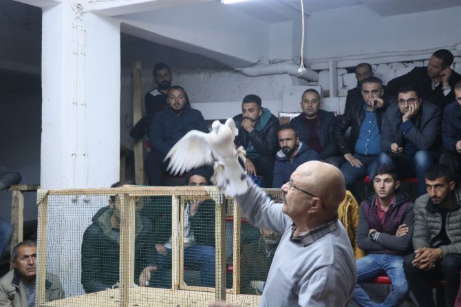 Güvercin sevdası arabasını sattırdı