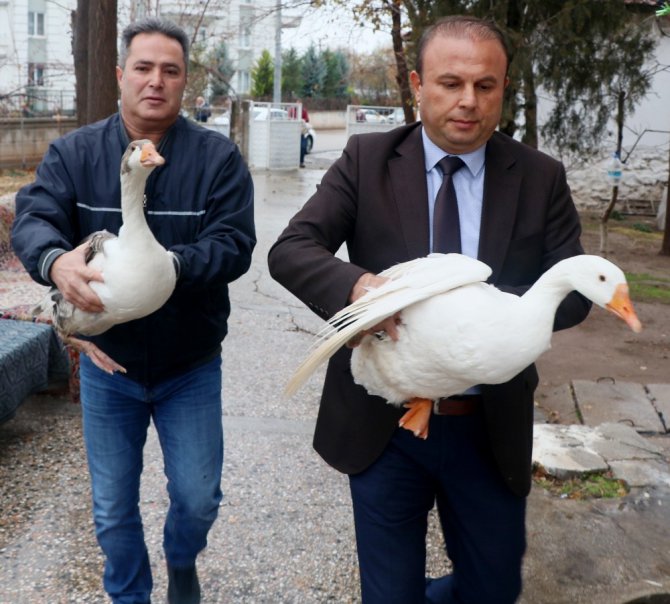 Hindileri çalınan Fadik Teyze’ye hayvan desteği