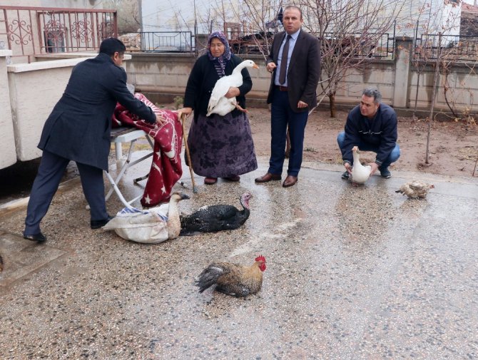 Hindileri çalınan Fadik Teyze’ye hayvan desteği