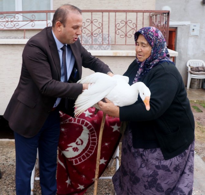 Hindileri çalınan Fadik Teyze’ye hayvan desteği