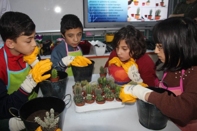 Sınıfı seraya çevirip kaktüs ektiler