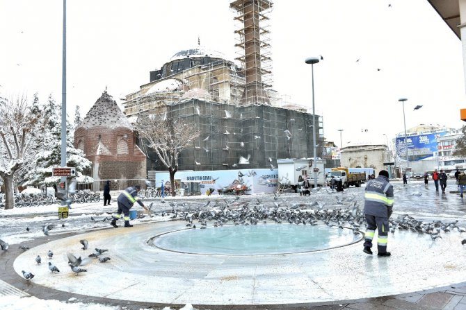 Konya Büyükşehir sahipsiz ve doğal hayattaki hayvanlara yem bıraktı