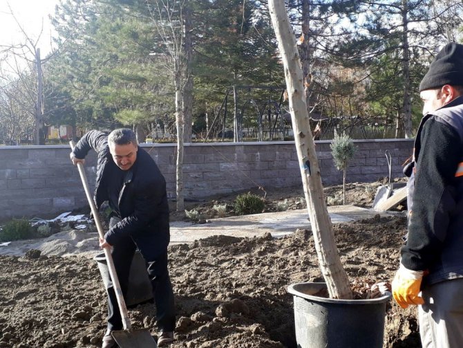 Başkan Tutal, Millet Parkı’na ağaç dikti