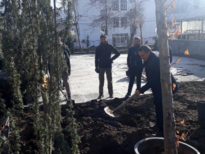 Başkan Tutal, Millet Parkı’na ağaç dikti