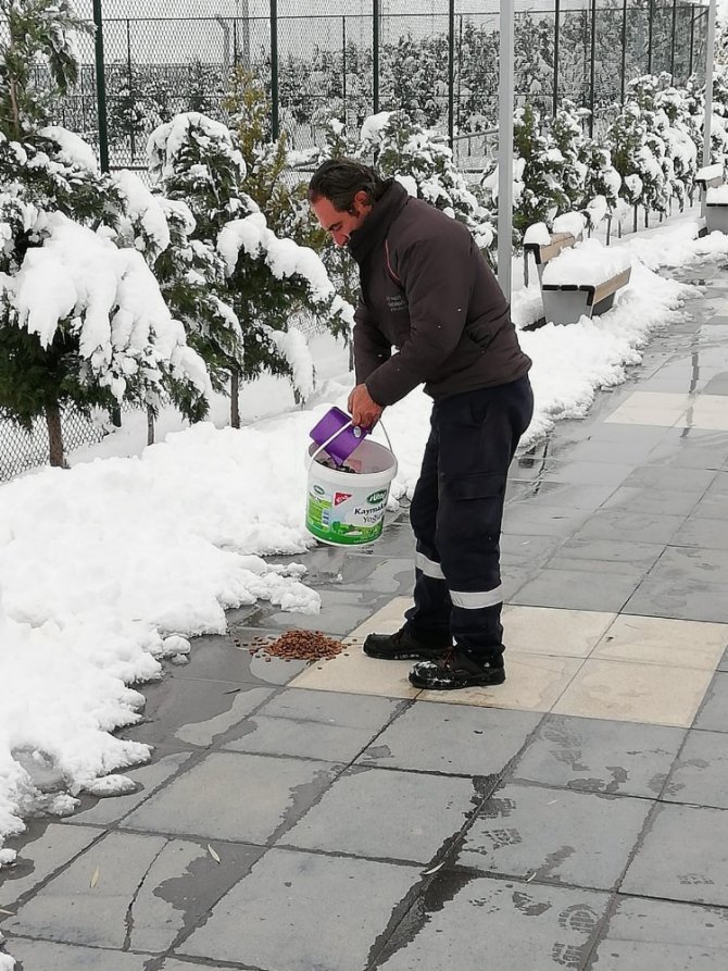 Aksaray Belediyesi doğaya yem bıraktı