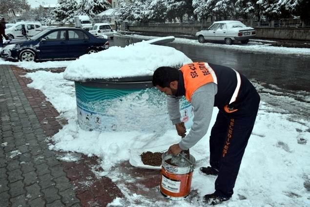 Selçuklu Belediyesi sokak hayvanları için doğaya yem bıraktı