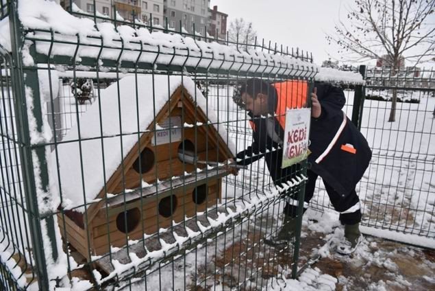 Selçuklu Belediyesi sokak hayvanları için doğaya yem bıraktı