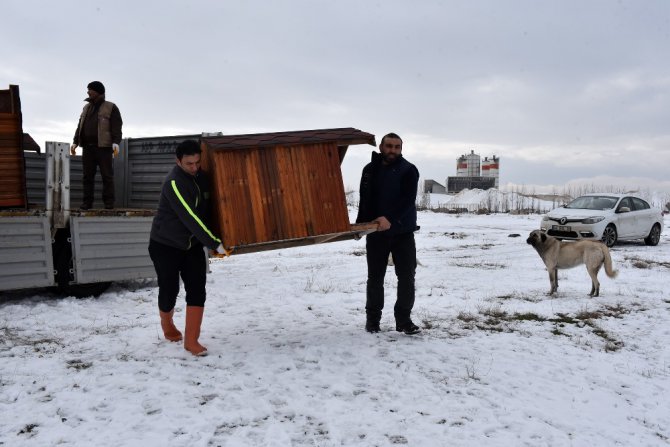 Konya’da sokak köpeklerine sıcak yuva