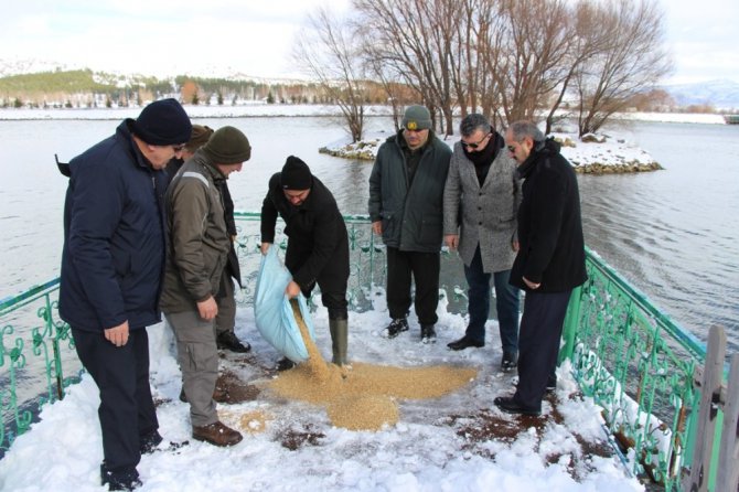 Seydişehir’de kuşlar ve yaban hayvanlarına yem bırakıldı