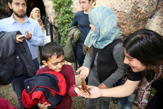 Tropikal Kelebek Bahçesi, yarıyıl tatilinde öğrencilere ücretsiz