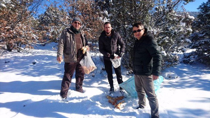 Beyşehir’de yaban hayvanlarına yem desteği