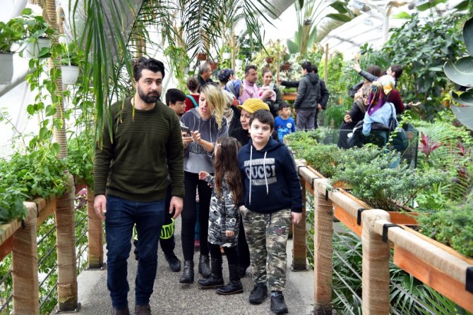 Tropikal Kelebek Bahçesi binlerce öğrenciyi ağırlıyor