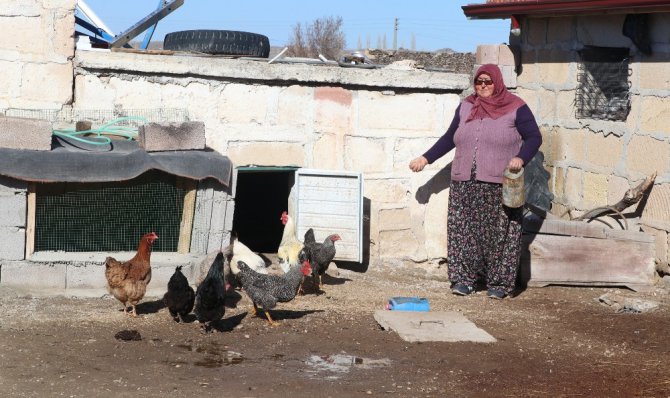 Muhtar adayı Mavuş kadın, köyün problemlerini çözecek