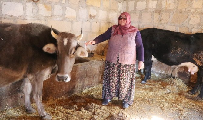 Muhtar adayı Mavuş kadın, köyün problemlerini çözecek