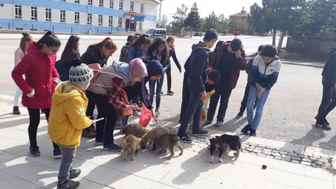 Öğrenciler harçlıklarıyla yem alıp sokak hayvanlarını besledi