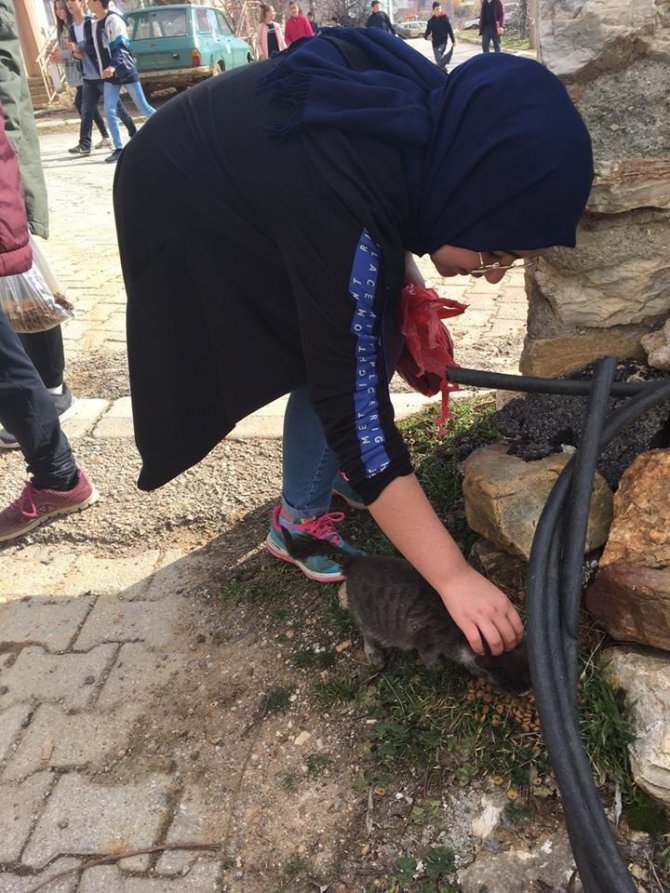 Öğrenciler harçlıklarıyla yem alıp sokak hayvanlarını besledi