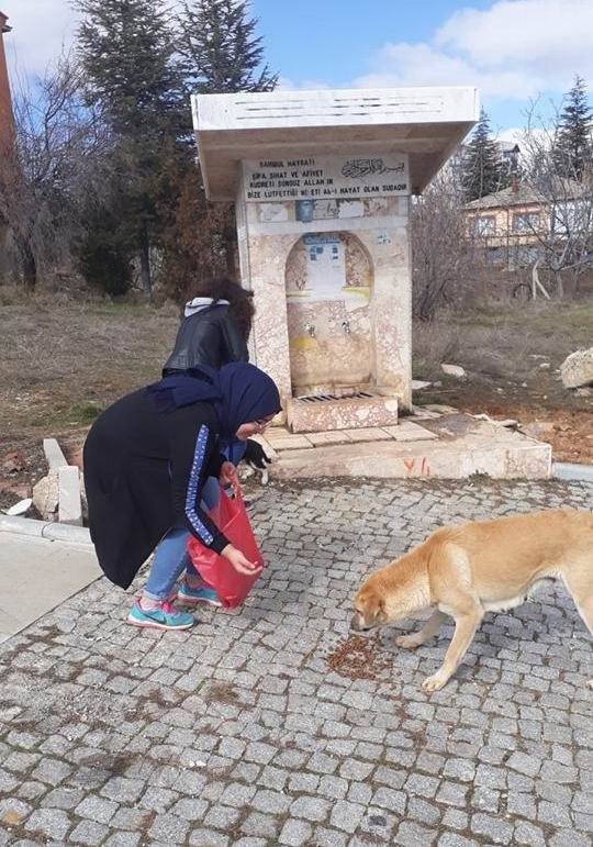 Öğrenciler harçlıklarıyla yem alıp sokak hayvanlarını besledi