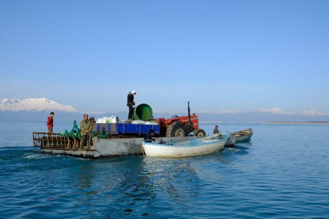 Beyşehir Gölü’ndeki Çeçen Adası’nda ekim mesaisi