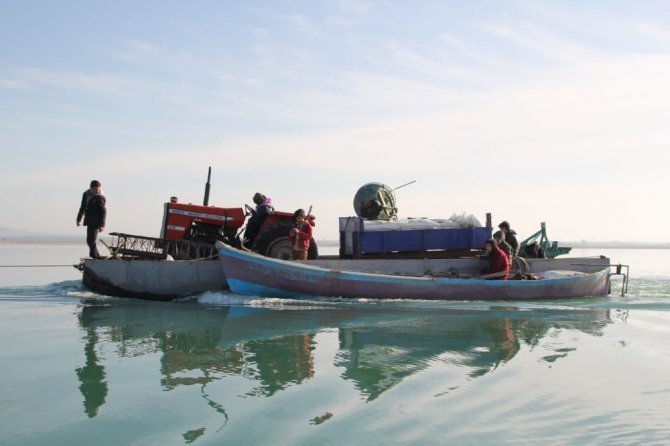 Beyşehir Gölü’ndeki Çeçen Adası’nda ekim mesaisi