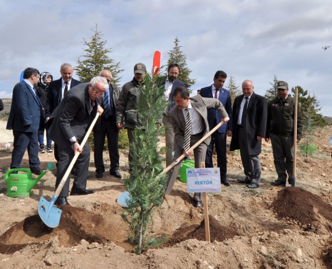 Rektör Zorlu: “4 yıl içinde kampüsümüzün tamamı ağaçlandırılacak”