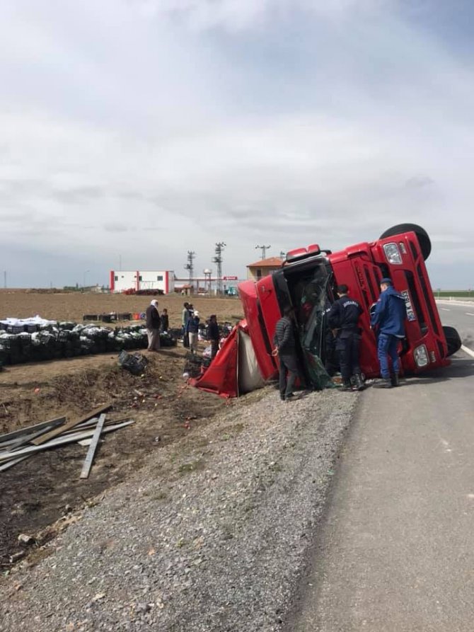 Köpeğe çarpmamak için manevra yapan tır devrildi