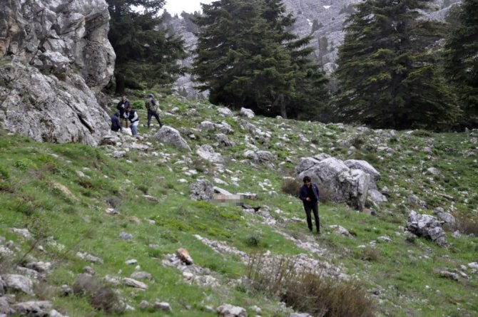 Ormanlık alanda bulunan ceset morga kaldırıldı