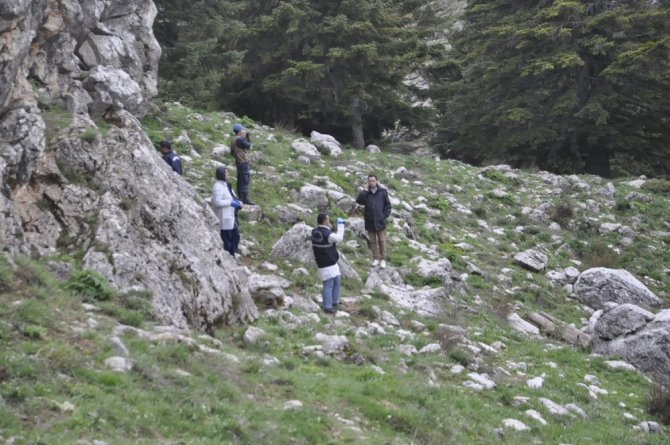 Ormanlık alanda bulunan ceset morga kaldırıldı