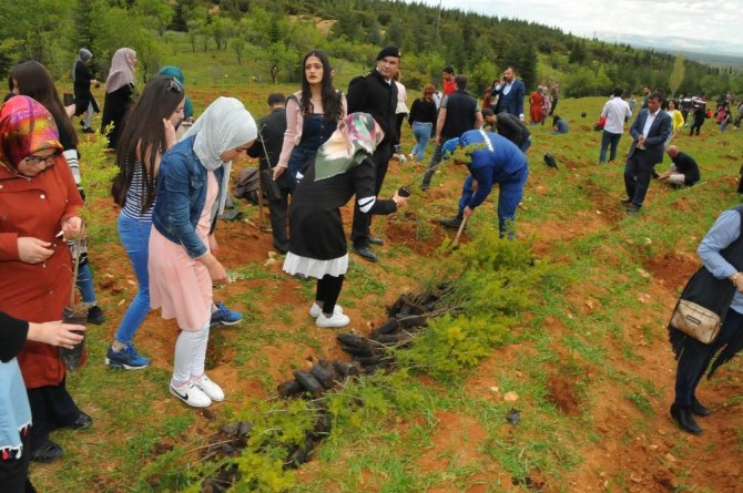 Başkan Akkaya, fidan dikim programına katıldı