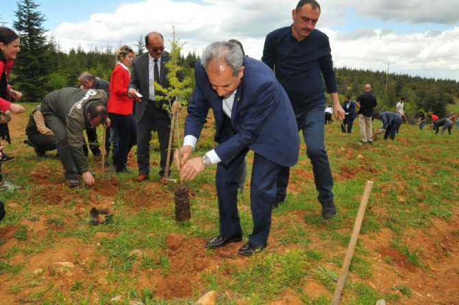 Başkan Akkaya, fidan dikim programına katıldı