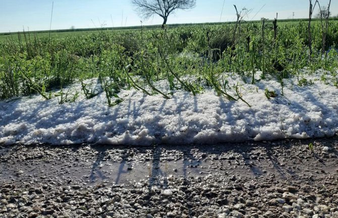 Aksaray’da dolu yağışı tarım arazilerine zarar verdi