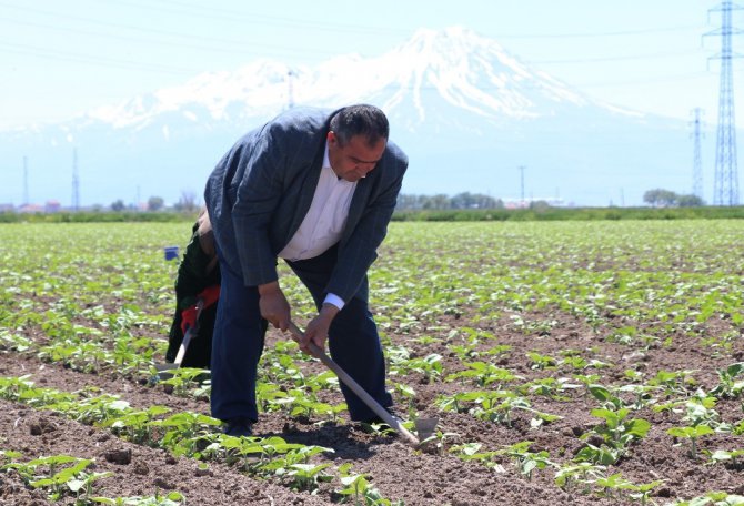 Başkan Koçak: “Ülkemiz için üretmeye devam edeceğiz”