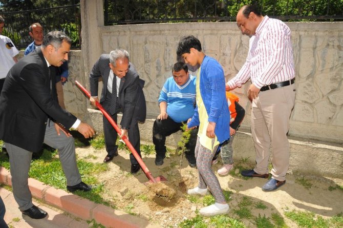 Akşehir’de engelli çocuklar fidan dikti