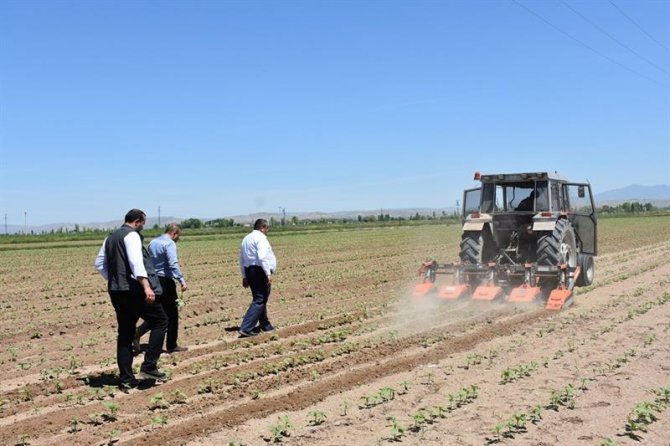 Aksaray’a süneyle mücadele çalışmaları başladı