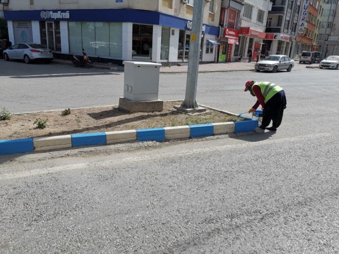 Beyşehir’in caddeleri göl mavisi renklere bürünüyor