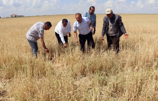 Aksaray’da tarım arazilerini dolu vurdu