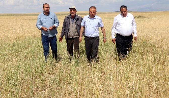 Aksaray’da tarım arazilerini dolu vurdu