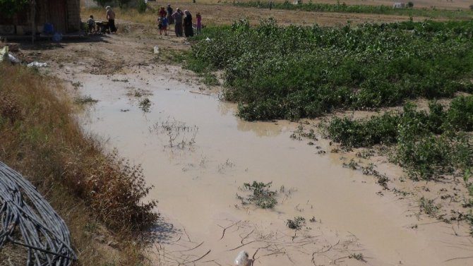 Aksaray’da 200 bin dekar arazide 30 milyonluk dolu ve sel zararı