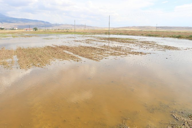 Aksaray’da 200 bin dekar arazide 30 milyonluk dolu ve sel zararı