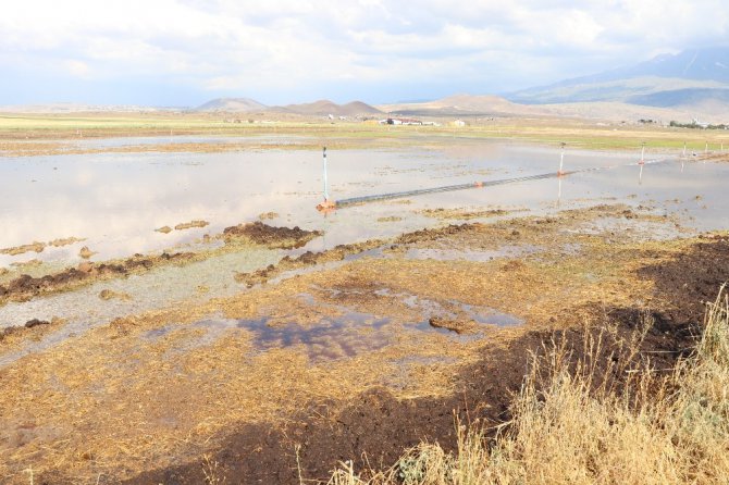 Aksaray’da 200 bin dekar arazide 30 milyonluk dolu ve sel zararı