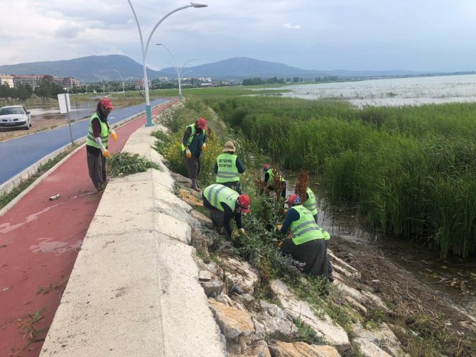 Beyşehir Belediyesinden göl kıyılarında yabani ot mesaisi