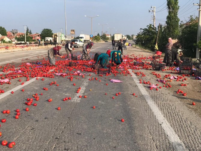 Karayolu domates tarlasına döndü