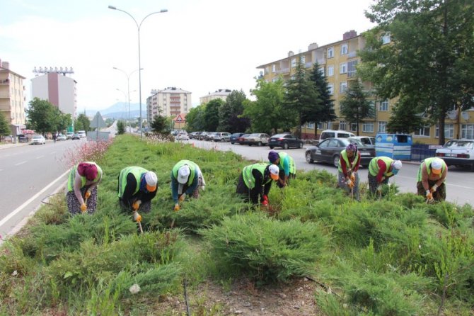 Seydişehir’de kavşak ve refüjler renkleniyor