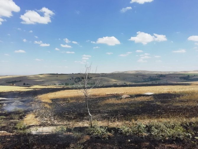 Aksaray’da 300 dönüm tarım hububat arazisi yandı