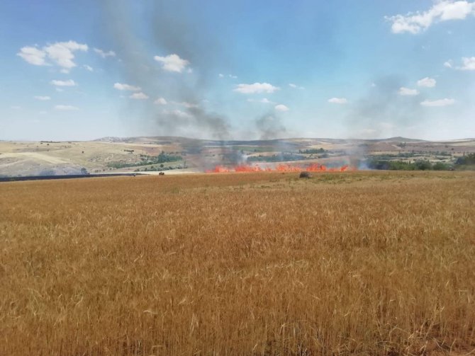 Aksaray’da 300 dönüm tarım hububat arazisi yandı