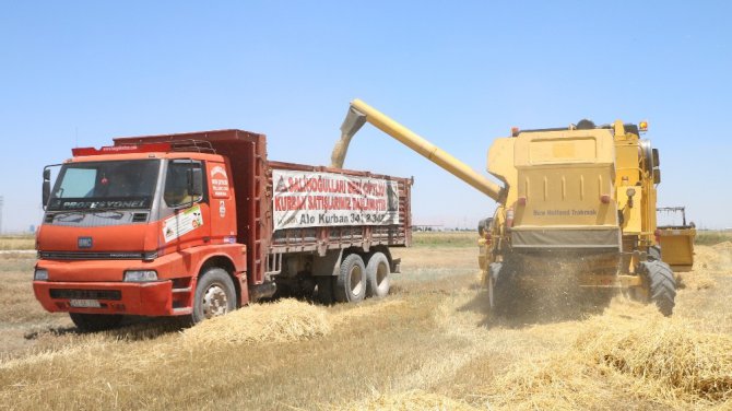 Tarımda bilinçsiz yapılan ilaçlama çiftçiyi perişan ediyor