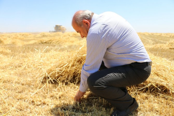 Tarımda bilinçsiz yapılan ilaçlama çiftçiyi perişan ediyor