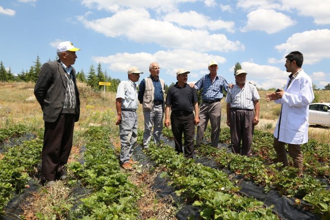 Tarımsal eğitimlerle çiftçiye katkı sağlanıyor