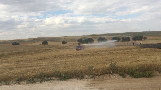 Trafoda akıma kapılan kuşlar tarlanın yanmasına sebep oldu