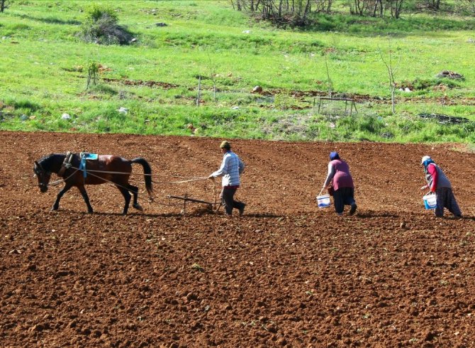 Beyşehir’in Akçabelen Çetmi Şeker Fasulyesi coğrafi işaret aldı