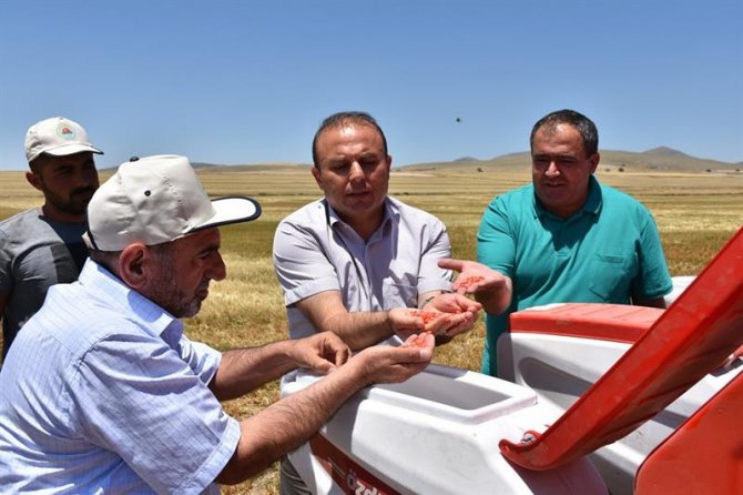 Aksaray’da doğrudan ekim mibzeri arazide